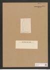 Diatomeae indet. Zeichnungen Sammlung Grunow Nr. 3554 (NHMW-BOT-W0371132)